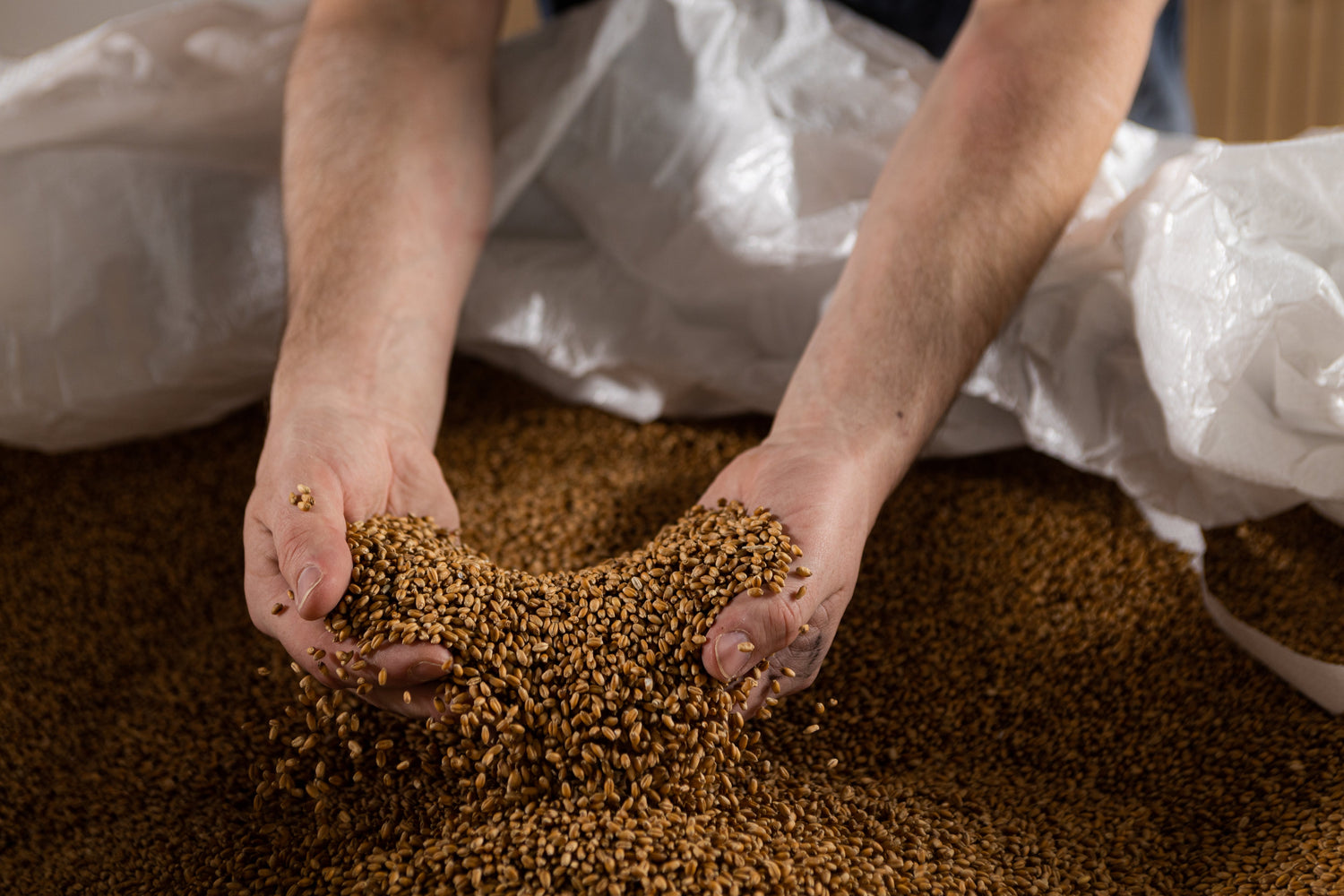 Wheat Berries